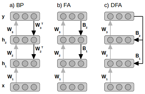 Diagram showing Backpropagation, Feedback Alignment, and Direct Feedback Alignment